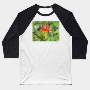 Aquilegia formosa flower Baseball T-Shirt